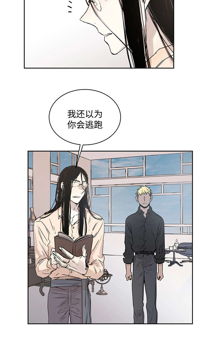 巫师与猫英语绘本怎么样漫画,第12话2图