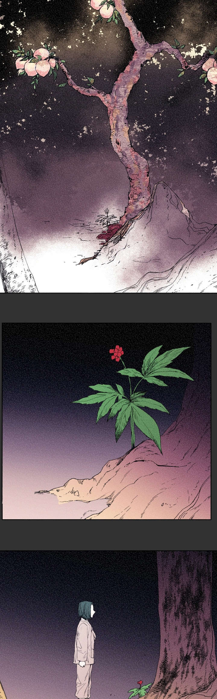 巫师与猫动画片中文漫画,第44话1图