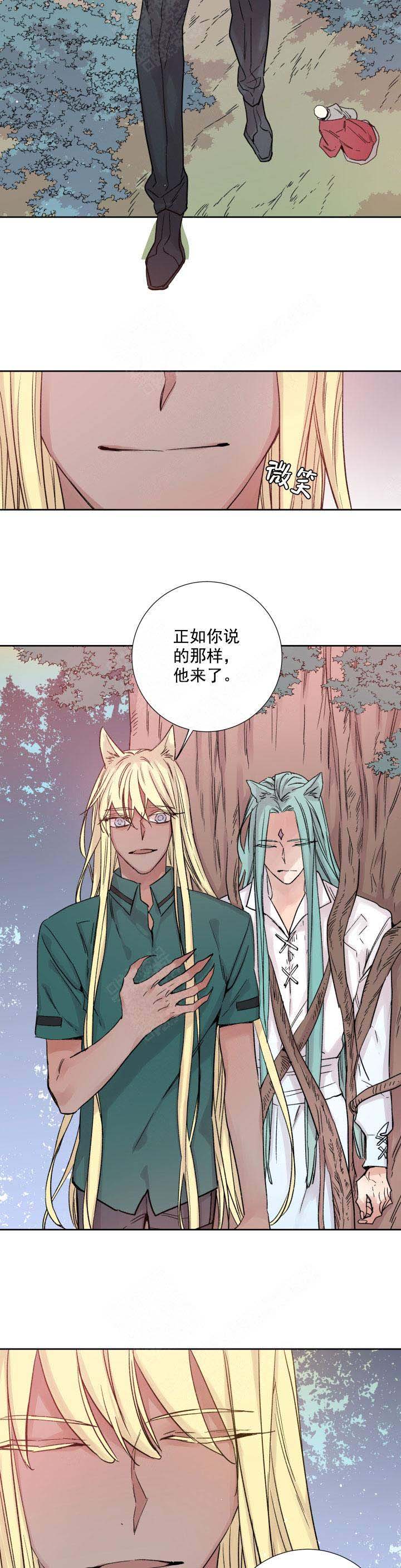 巫师与狼漫画免费阅读下拉式漫画,第118话2图