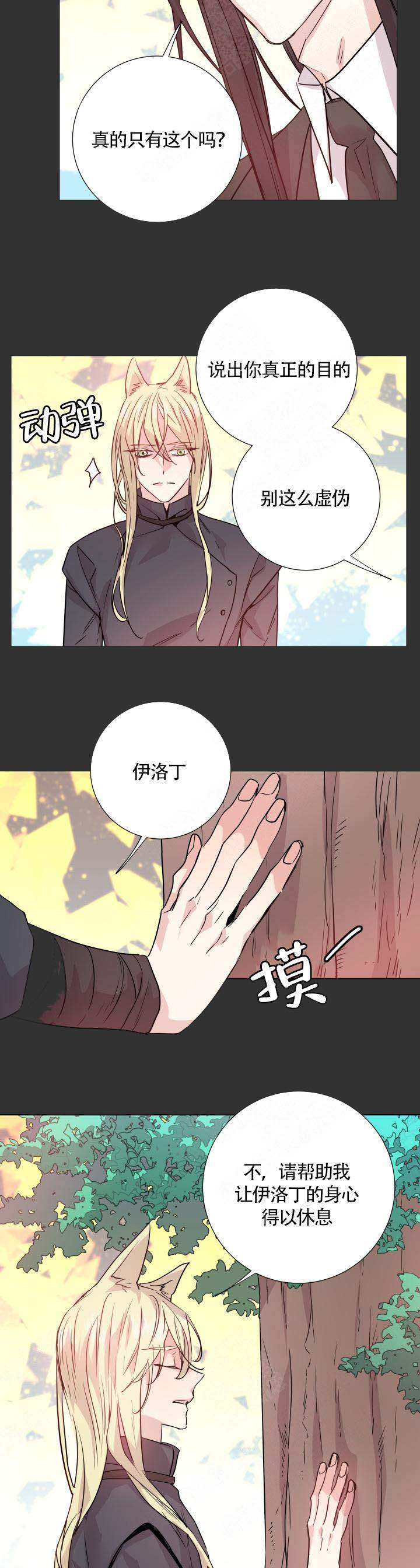 巫师与猫英语绘本怎么样漫画,第111话1图