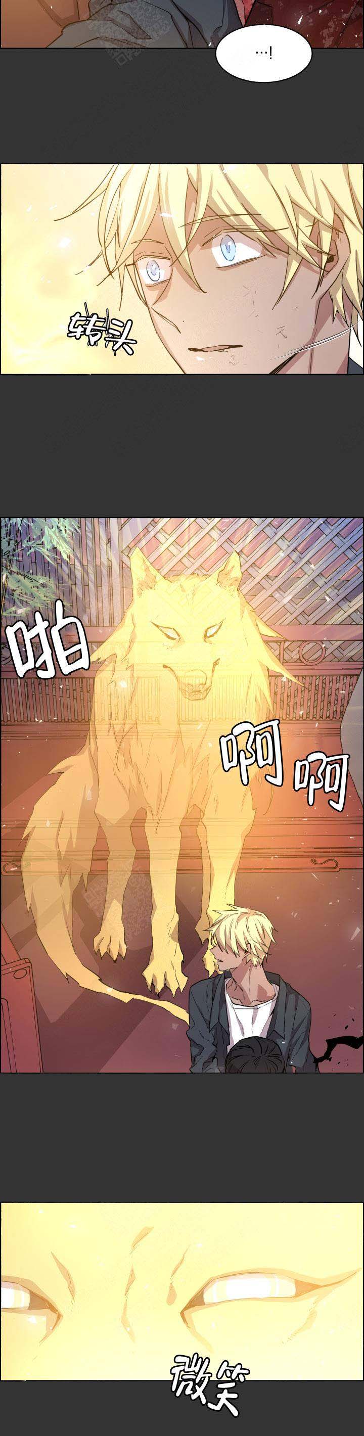 巫师与猫英语绘本怎么样漫画,第70话1图