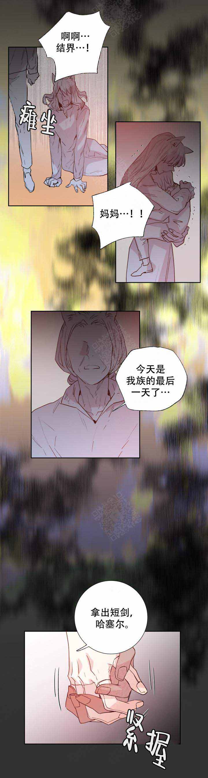 巫师与猫英语绘本怎么样漫画,第107话1图