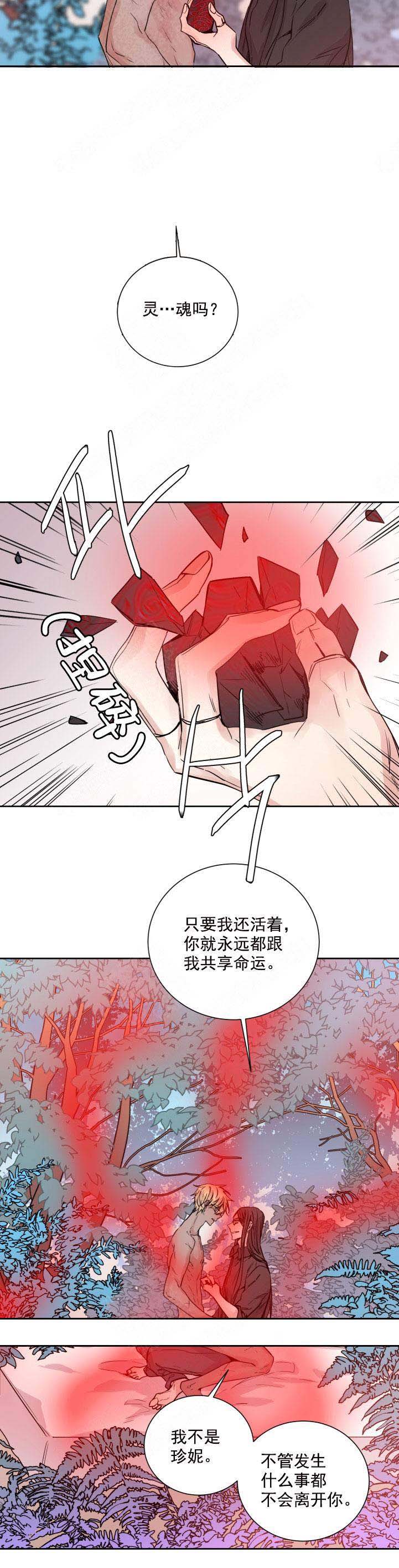 巫师与狼漫画第一章在线阅读漫画,第122话1图