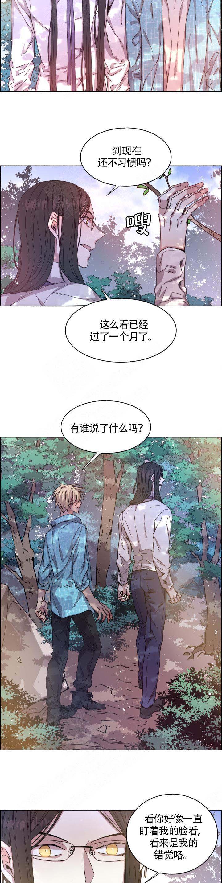巫师与猫英语绘本怎么样漫画,第73话2图