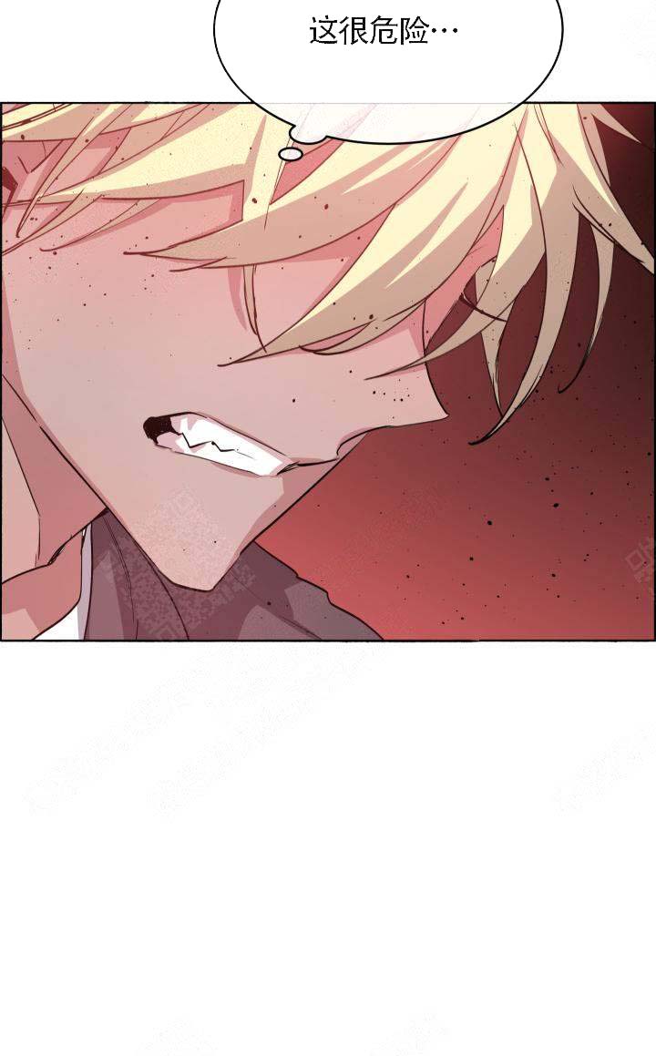 巫师与猫英语绘本怎么样漫画,第68话1图