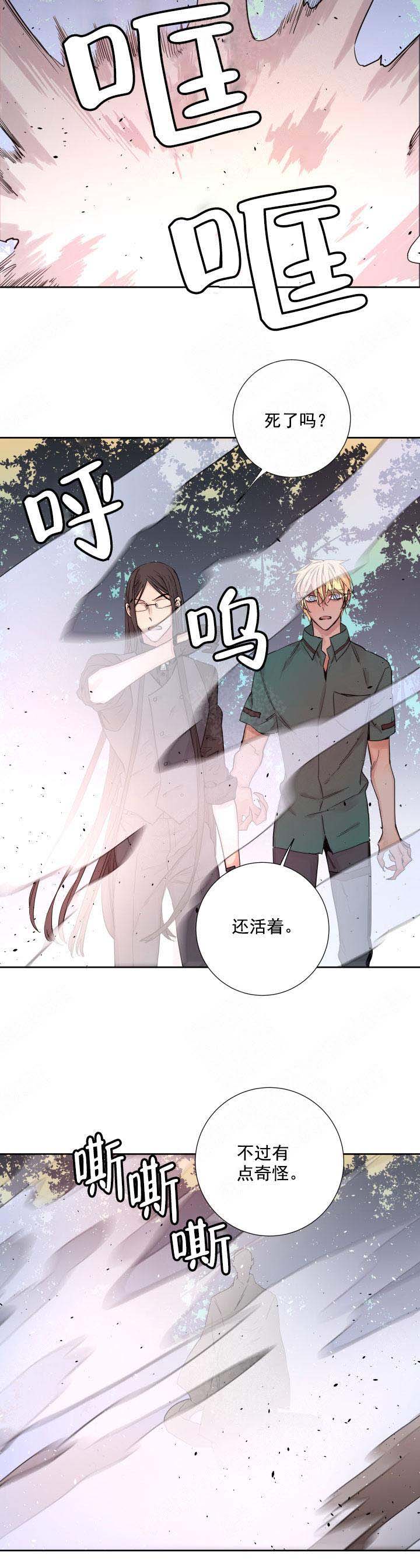 巫师与猫英语绘本怎么样漫画,第119话2图