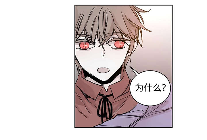 巫师与猫英语绘本怎么样漫画,第20话1图