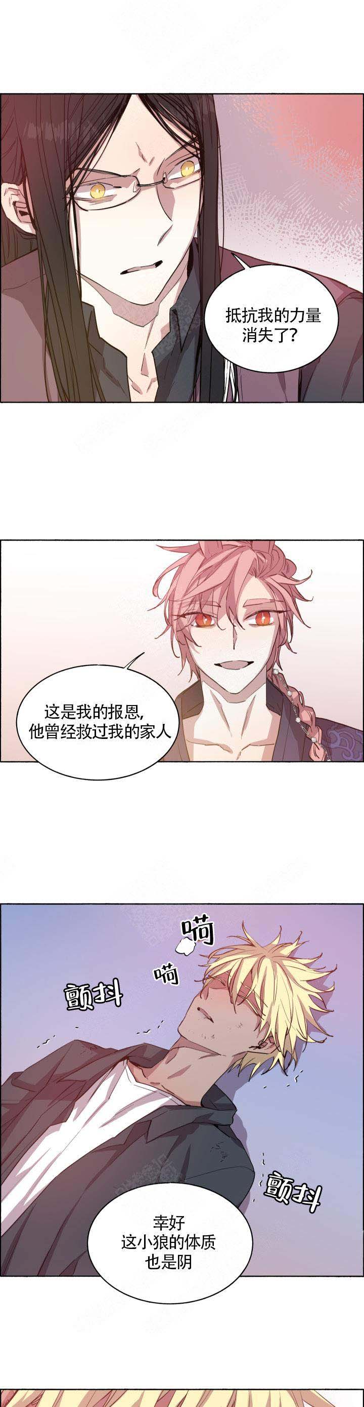 巫师与猫英语绘本怎么样漫画,第70话2图