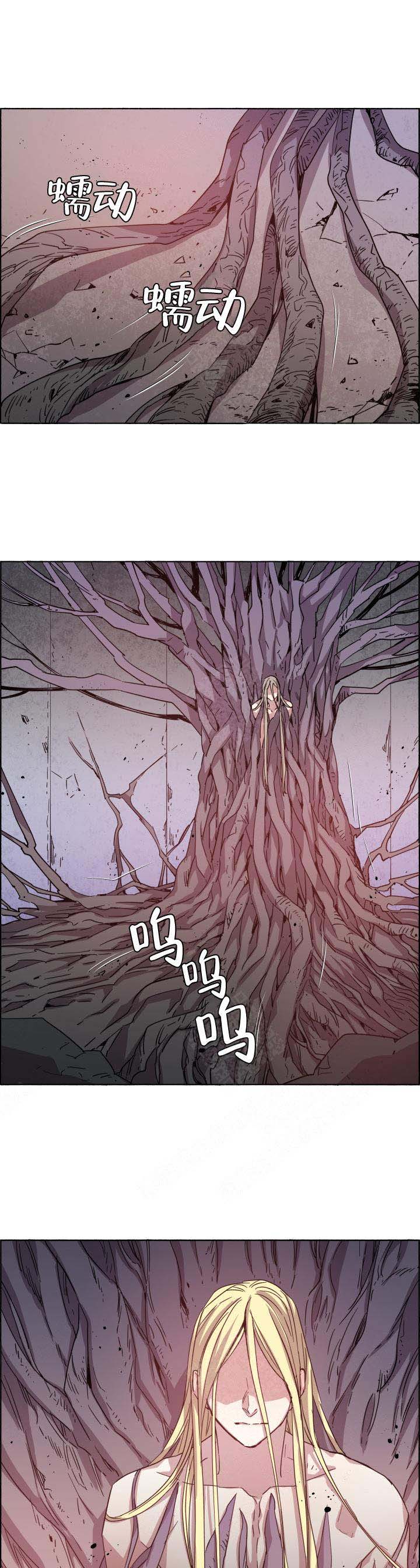 巫师与猫英语绘本怎么样漫画,第71话1图