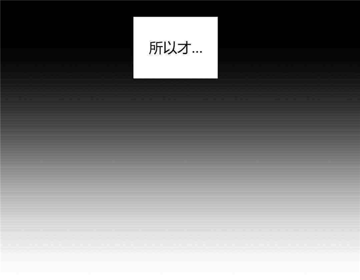 窗外的三花猫儿童故事漫画,第17话1图