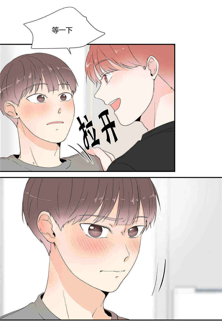 窗外的白杨漫画,第21话1图