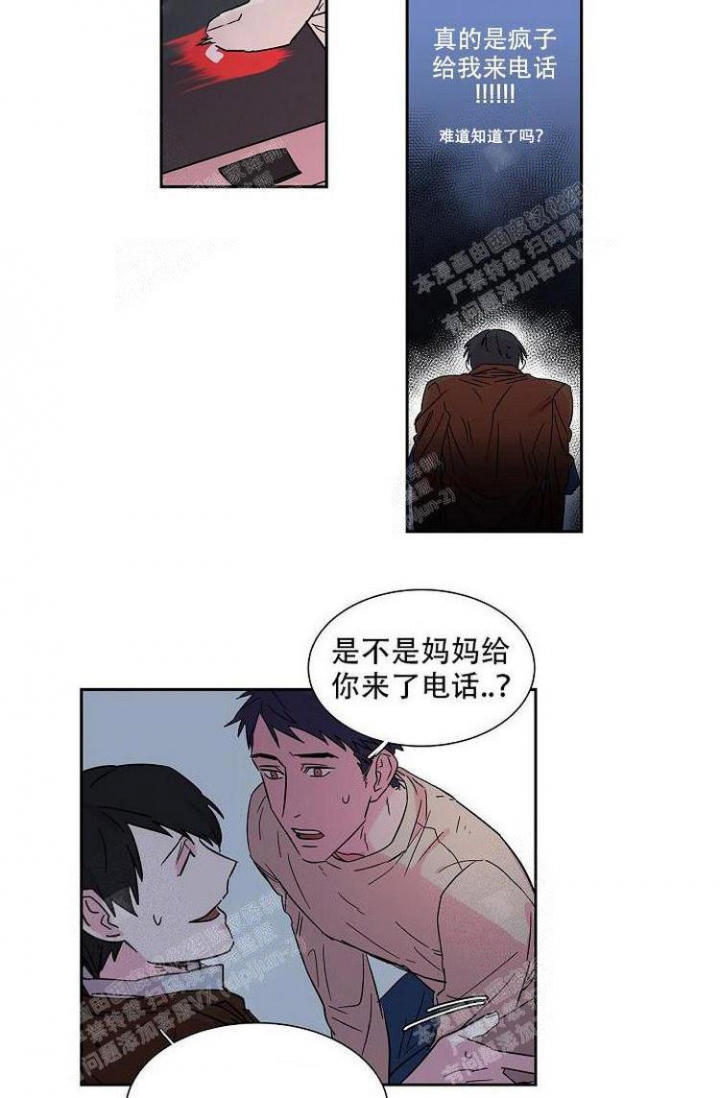 特殊关系漫画,第11话2图